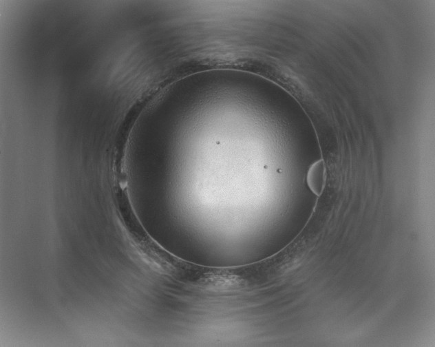 X0000073840642200608101230