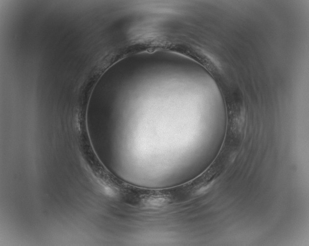 X0000073840643200608101230