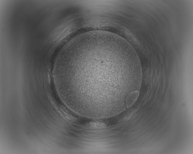 X0000073840644200608101230