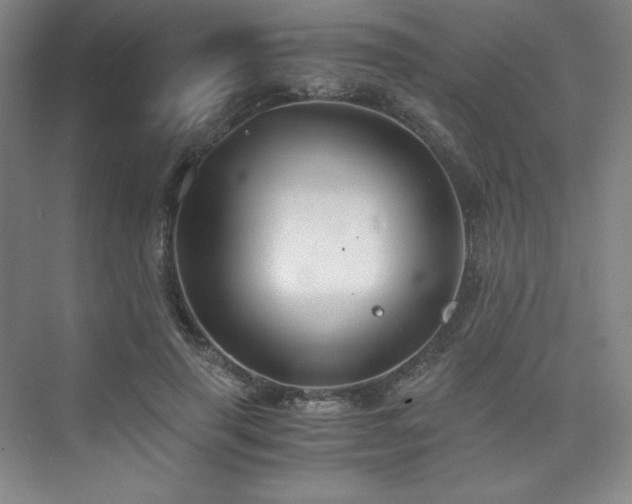 X0000073840645200608101230