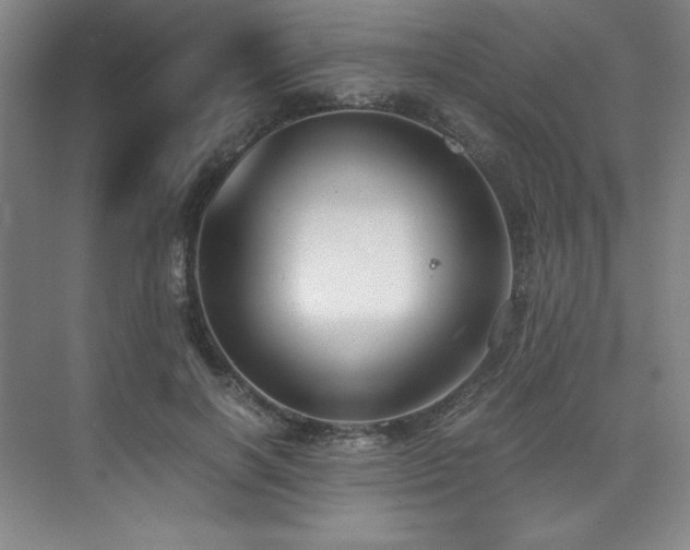 X0000073840646200608101230