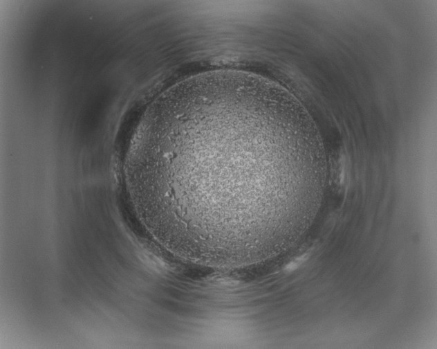 X0000073840648200608101230