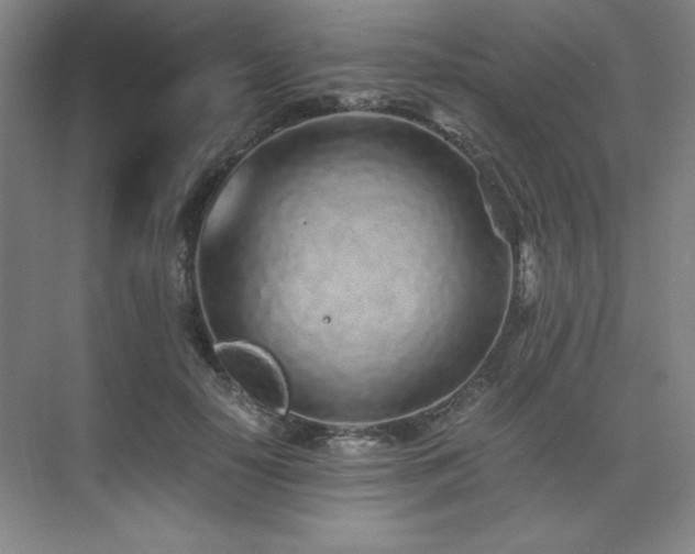 X0000073840650200608101231