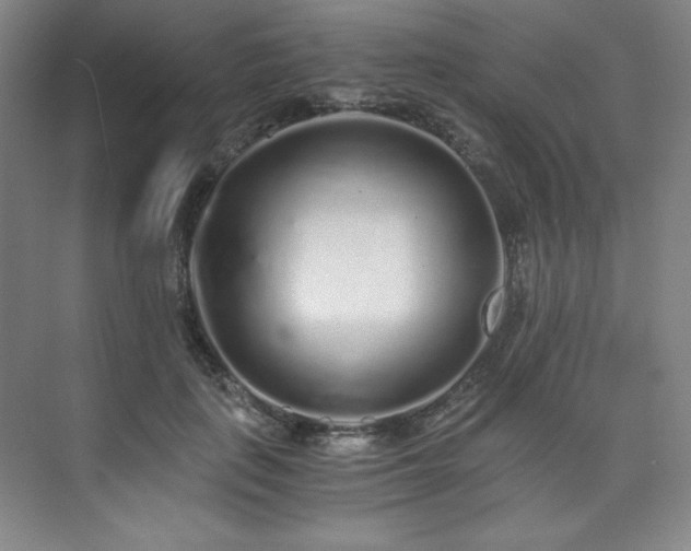 X0000073840651200608101231