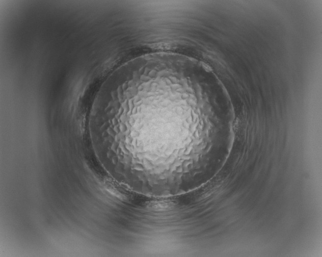 X0000073840652200608101231