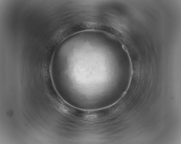 X0000073840653200608101231