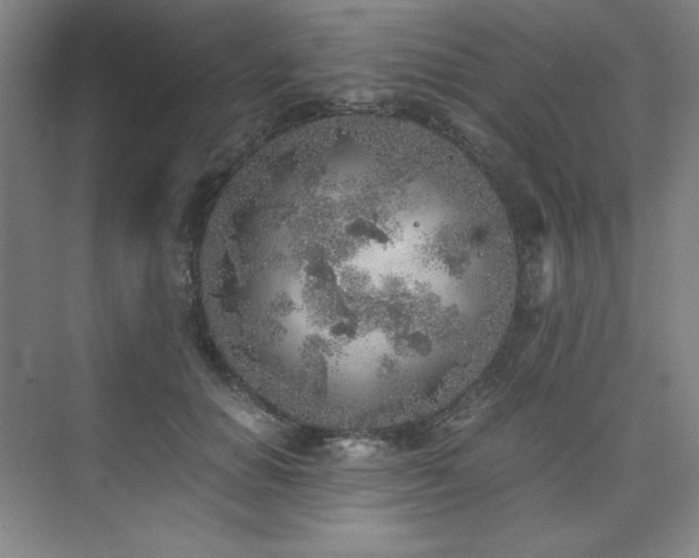 X0000073840654200608101231