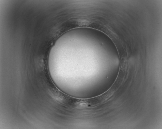 X0000073840655200608101231