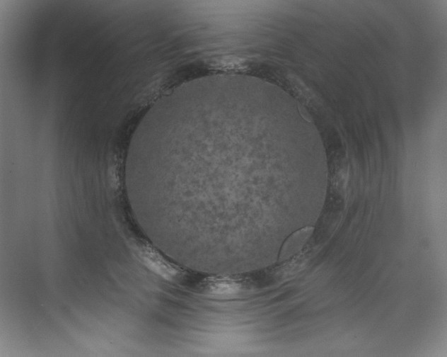 X0000073840658200608101231