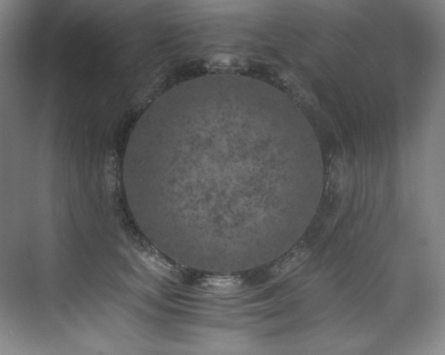 X0000073840659200608101231