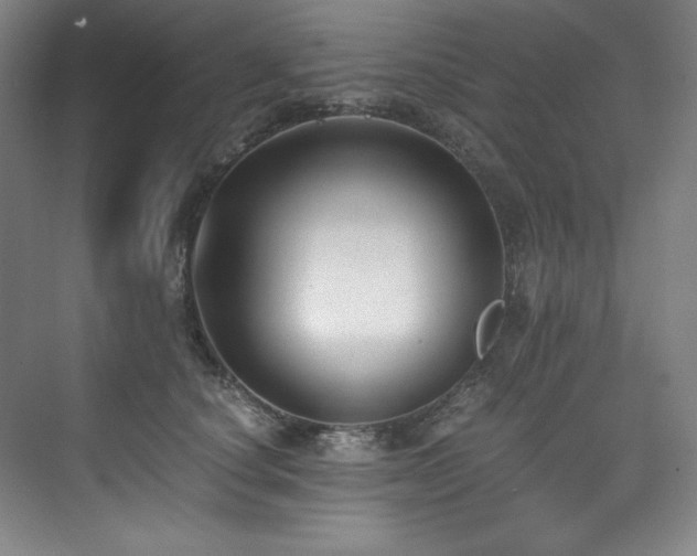 X0000073840660200608101231