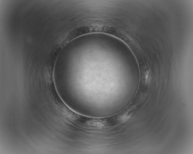 X0000073840661200608101231