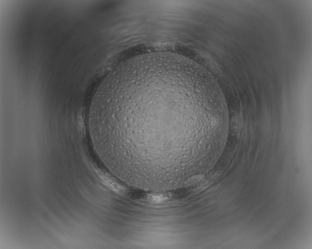 X0000073840662200608101231