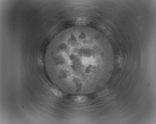 X0000073840663200608101231