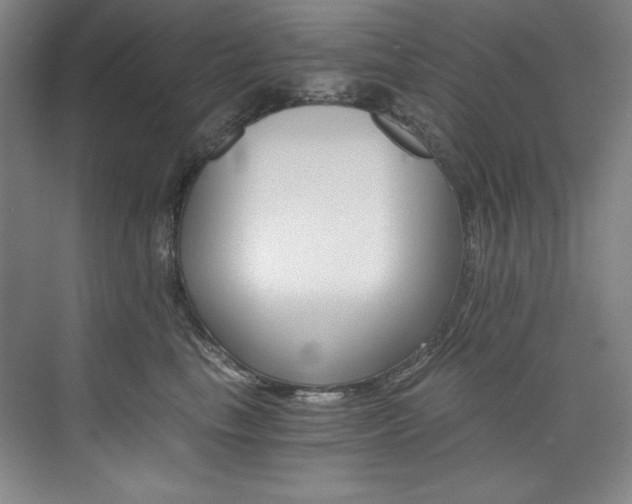 X0000073840665200608101231