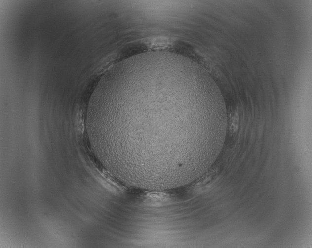 X0000073840666200608101231