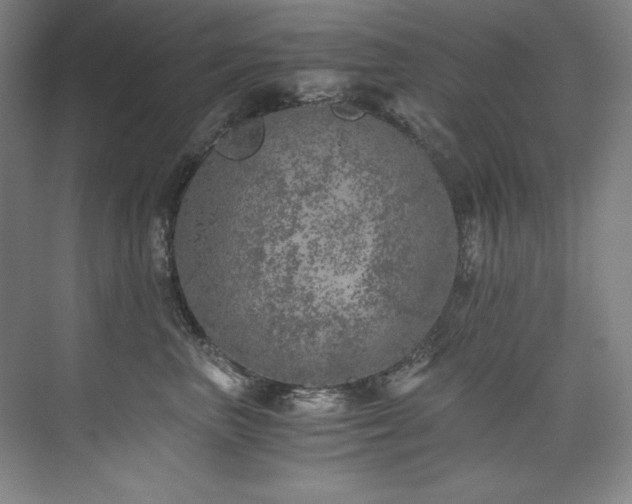 X0000073840667200608101231