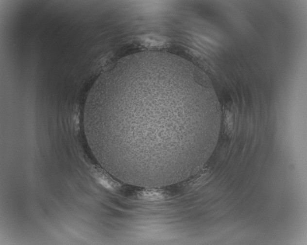 X0000073840668200608101231