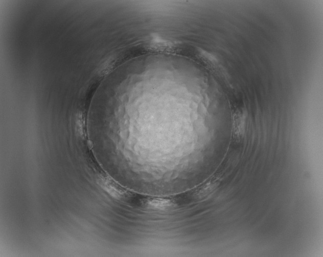 X0000073840669200608101231