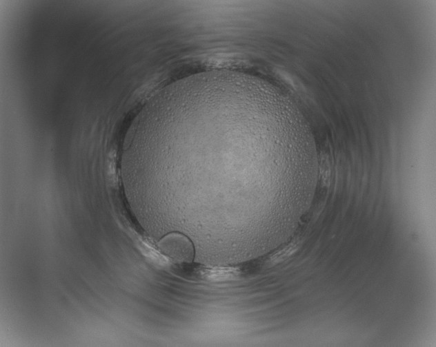 X0000073840670200608101231