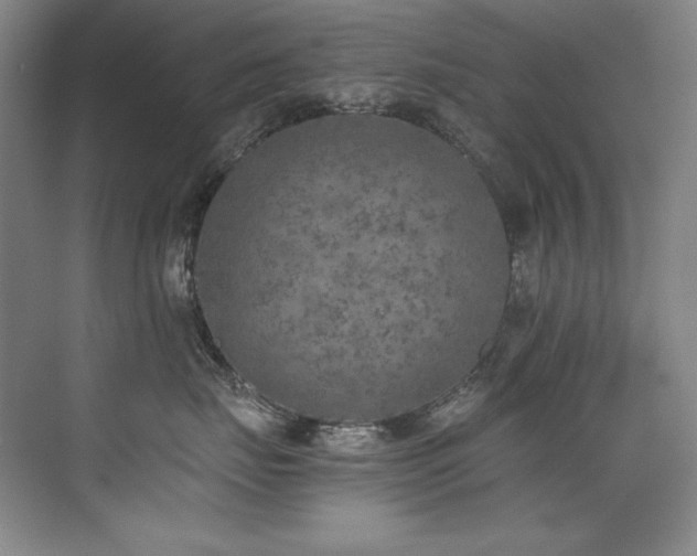 X0000073840671200608101231