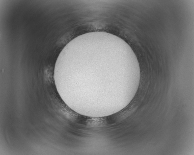 X0000073840672200608101231