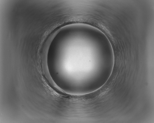 X0000073840673200608101230