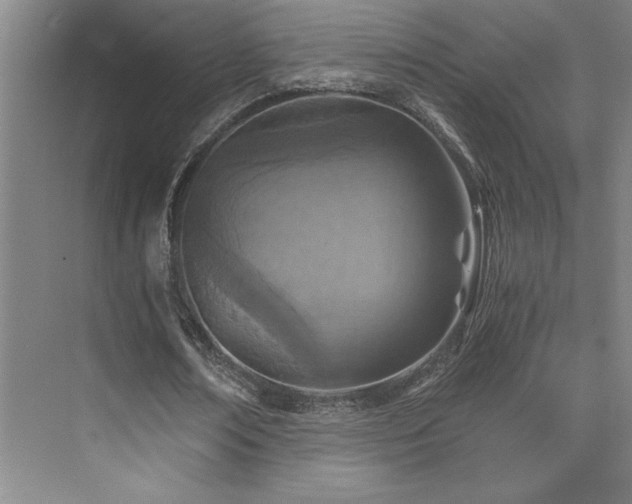 X0000073840674200608101230