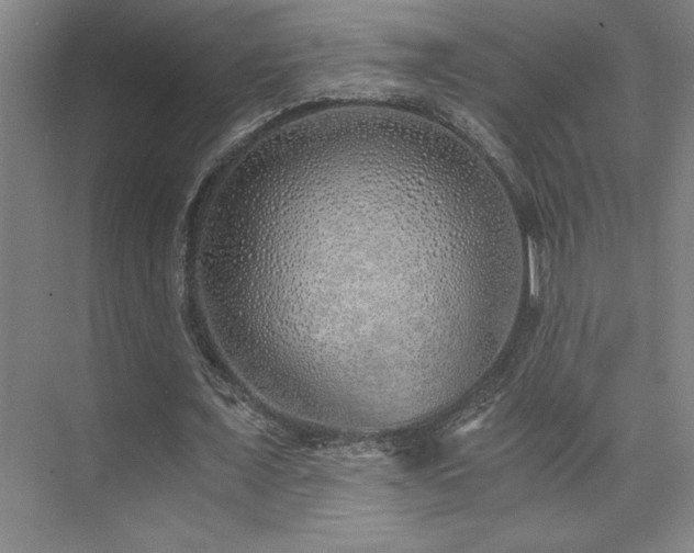 X0000073840675200608101230