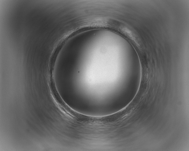 X0000073840677200608101230