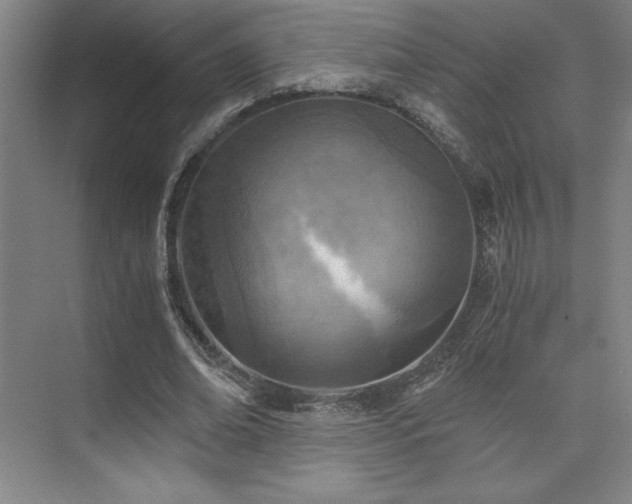 X0000073840678200608101230