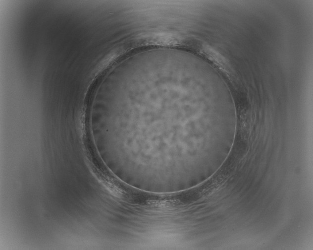 X0000073840679200608101230