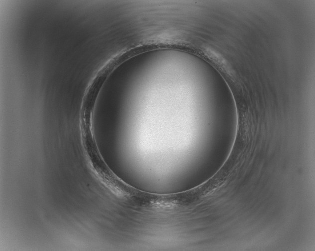 X0000073840680200608101230