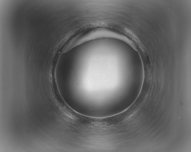 X0000073840681200608101230