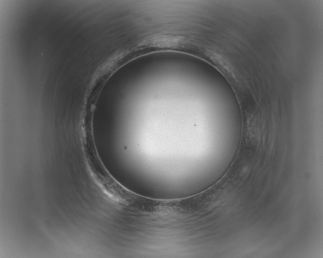 X0000073840682200608101230