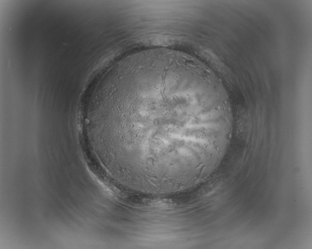 X0000073840683200608101230