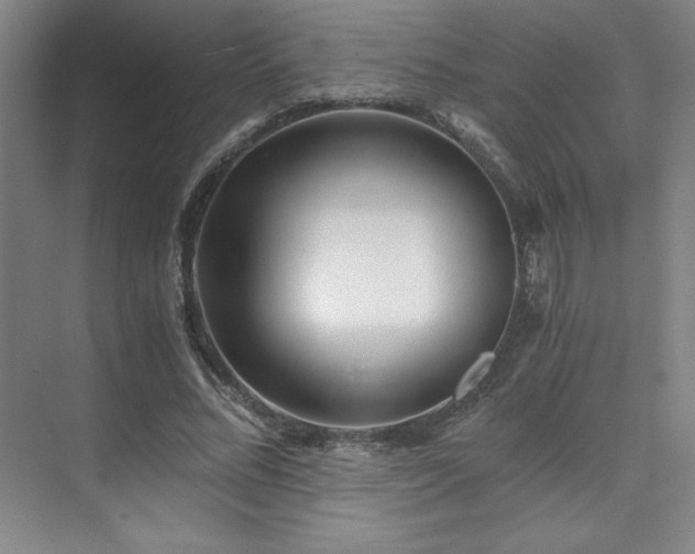 X0000073840684200608101230