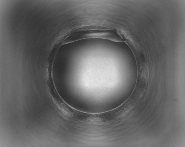 X0000073840685200608101230