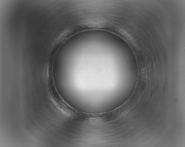 X0000073840686200608101230