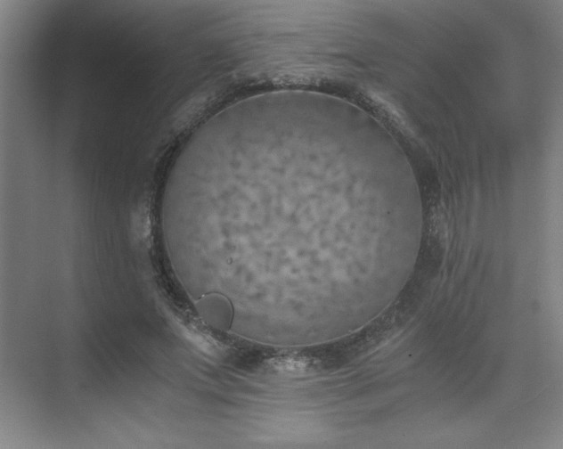 X0000073840687200608101230