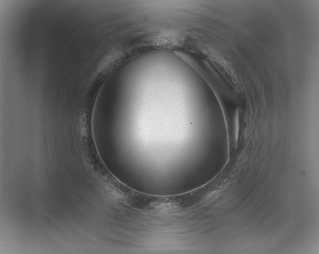 X0000073840689200608101230