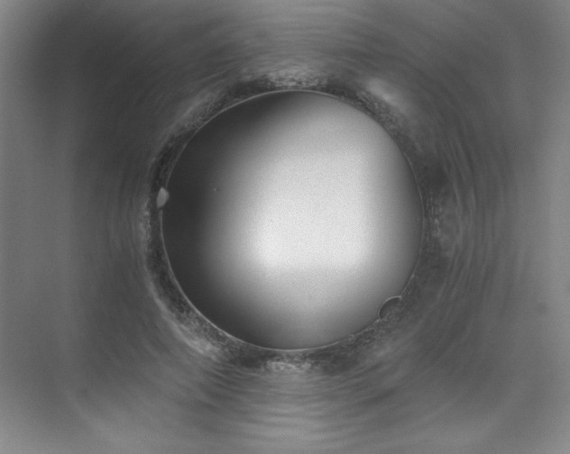 X0000073840690200608101230