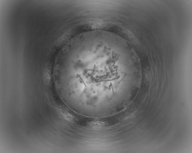 X0000073840691200608101230