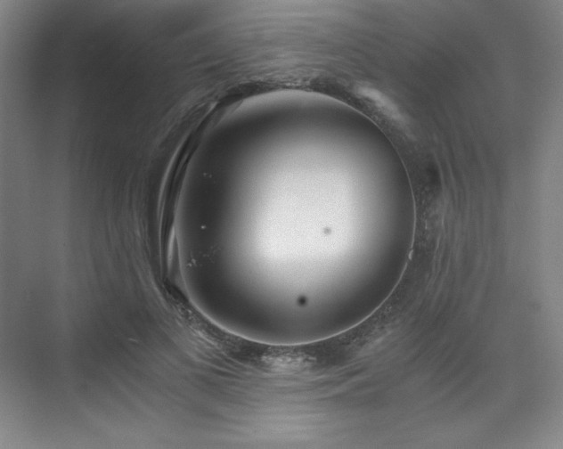 X0000073840693200608101230