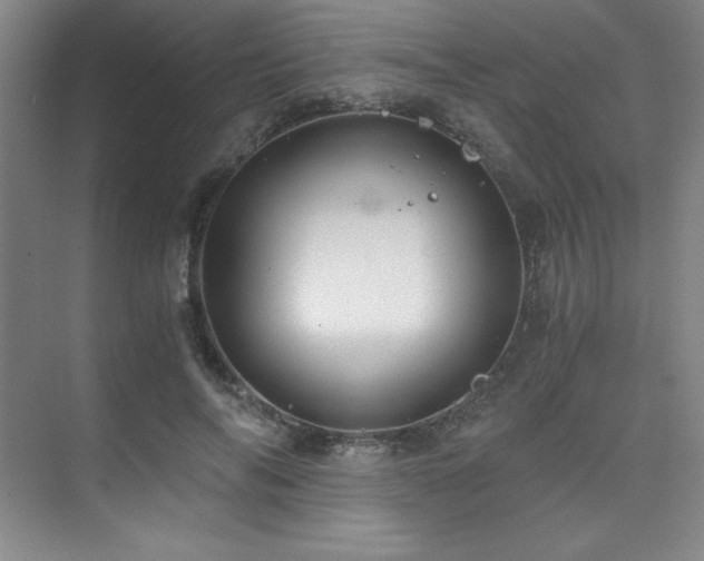 X0000073840694200608101230