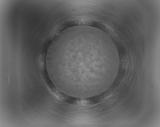 X0000073840695200608101230