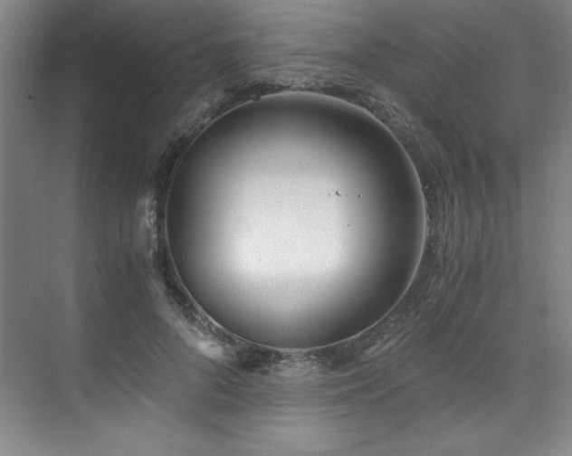 X0000073840696200608101230