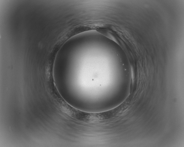 X0000073840697200608101230