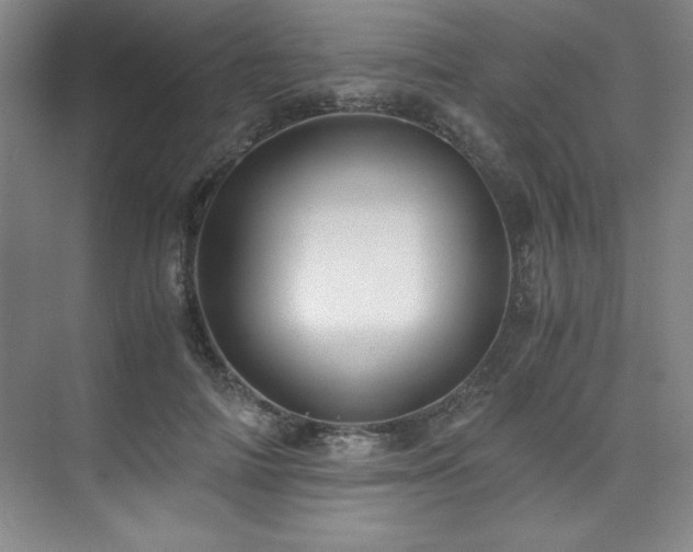 X0000073840698200608101230