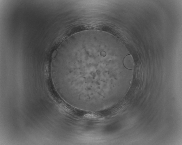 X0000073840699200608101230